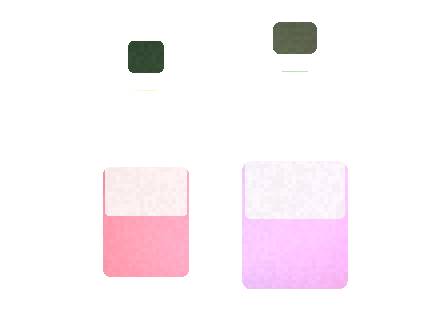 Air Bar Click S: Model Comparison for Distributors